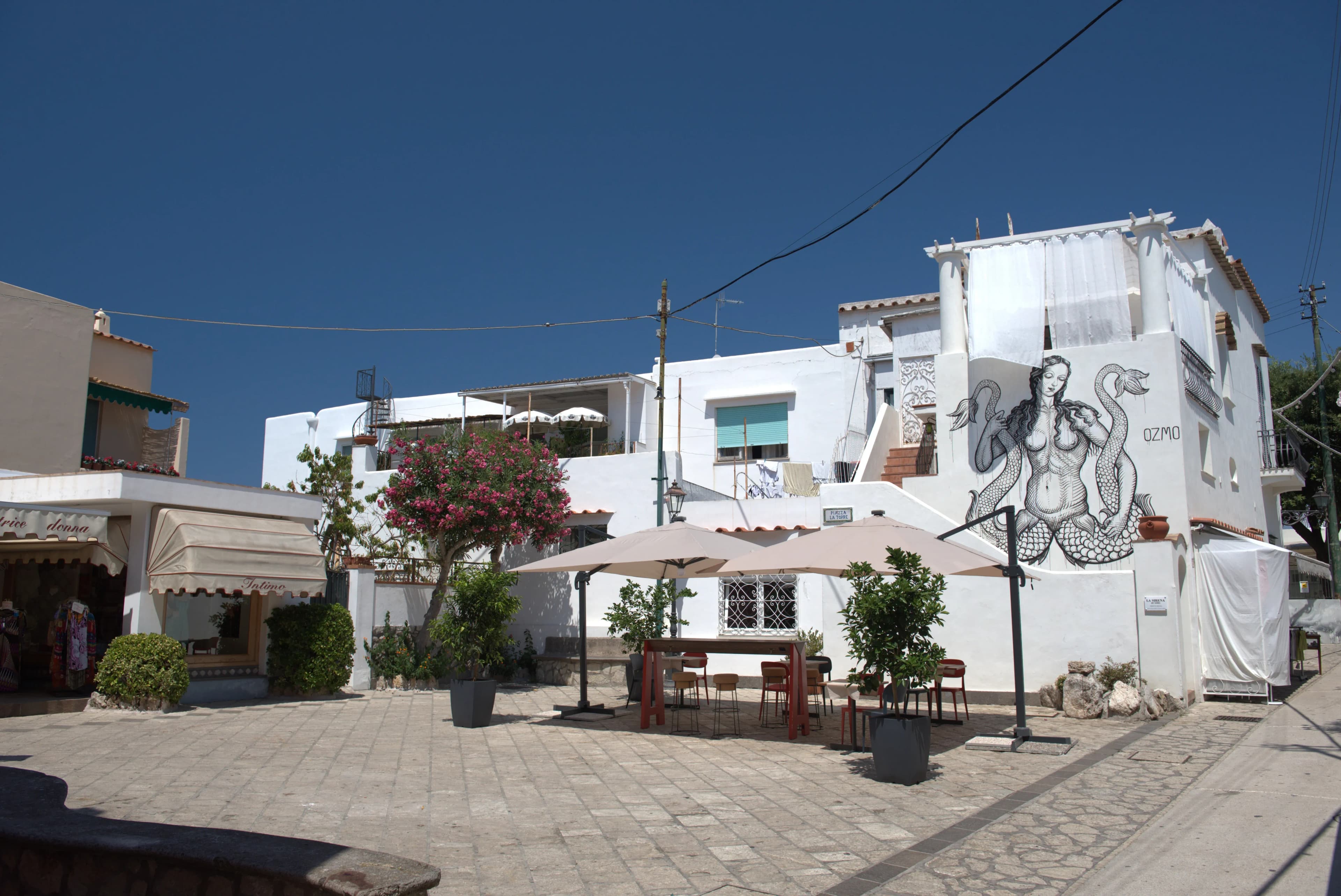 Tour Image